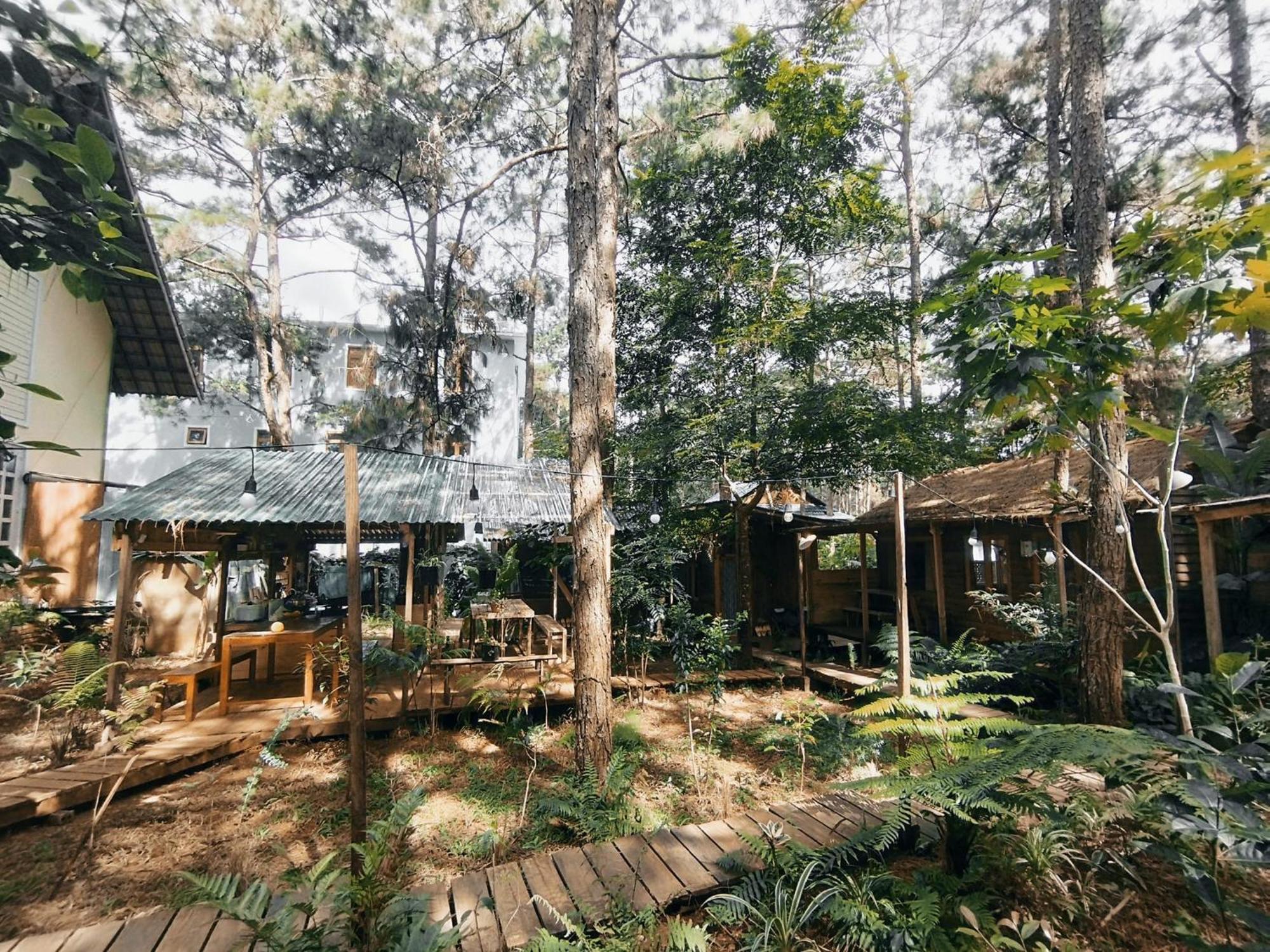 La Maison Homestay Mang Den Kon Tum Dış mekan fotoğraf
