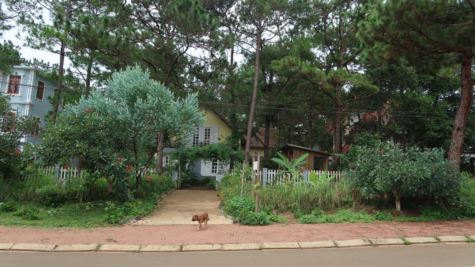 La Maison Homestay Mang Den Kon Tum Dış mekan fotoğraf