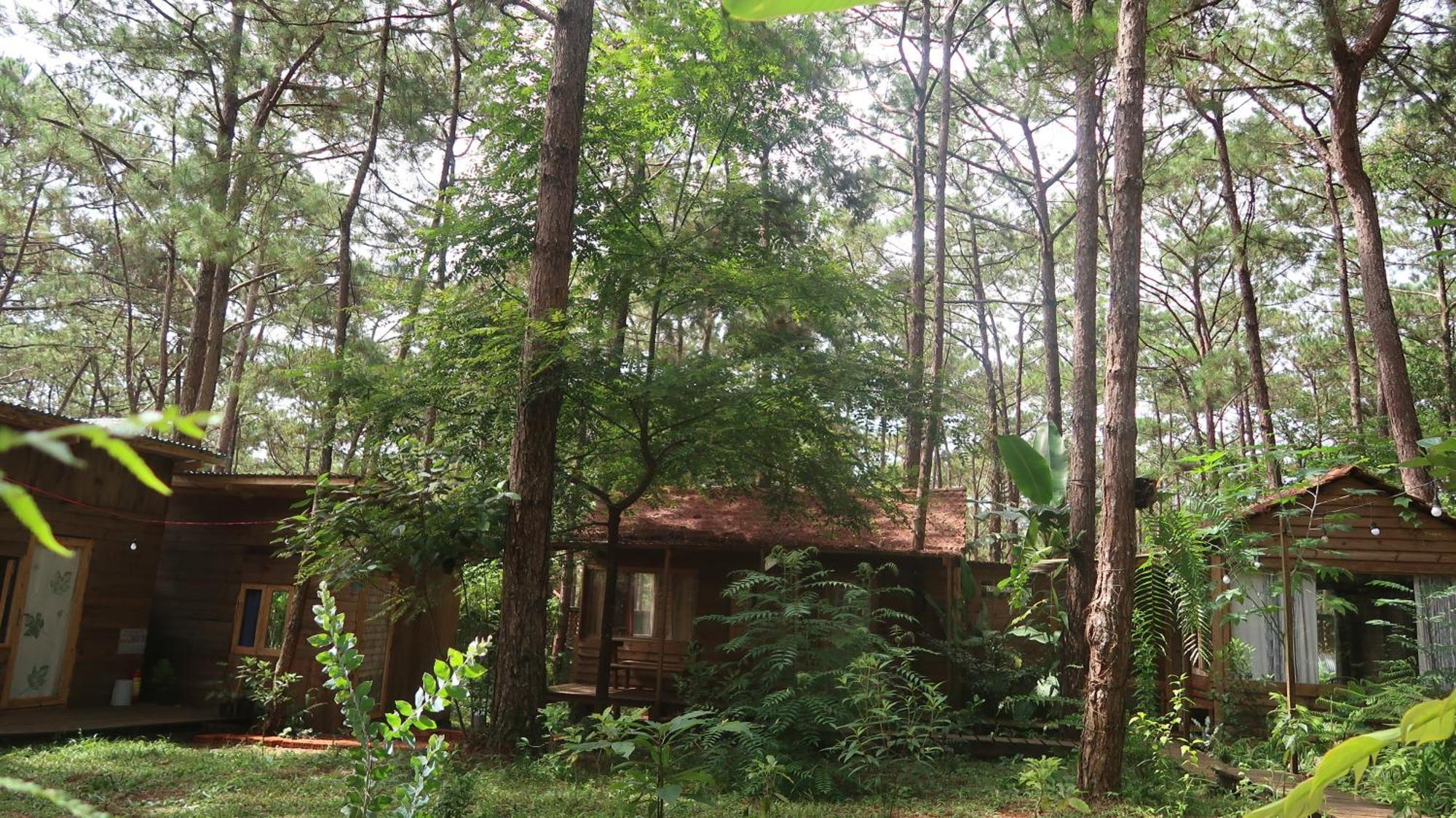 La Maison Homestay Mang Den Kon Tum Dış mekan fotoğraf