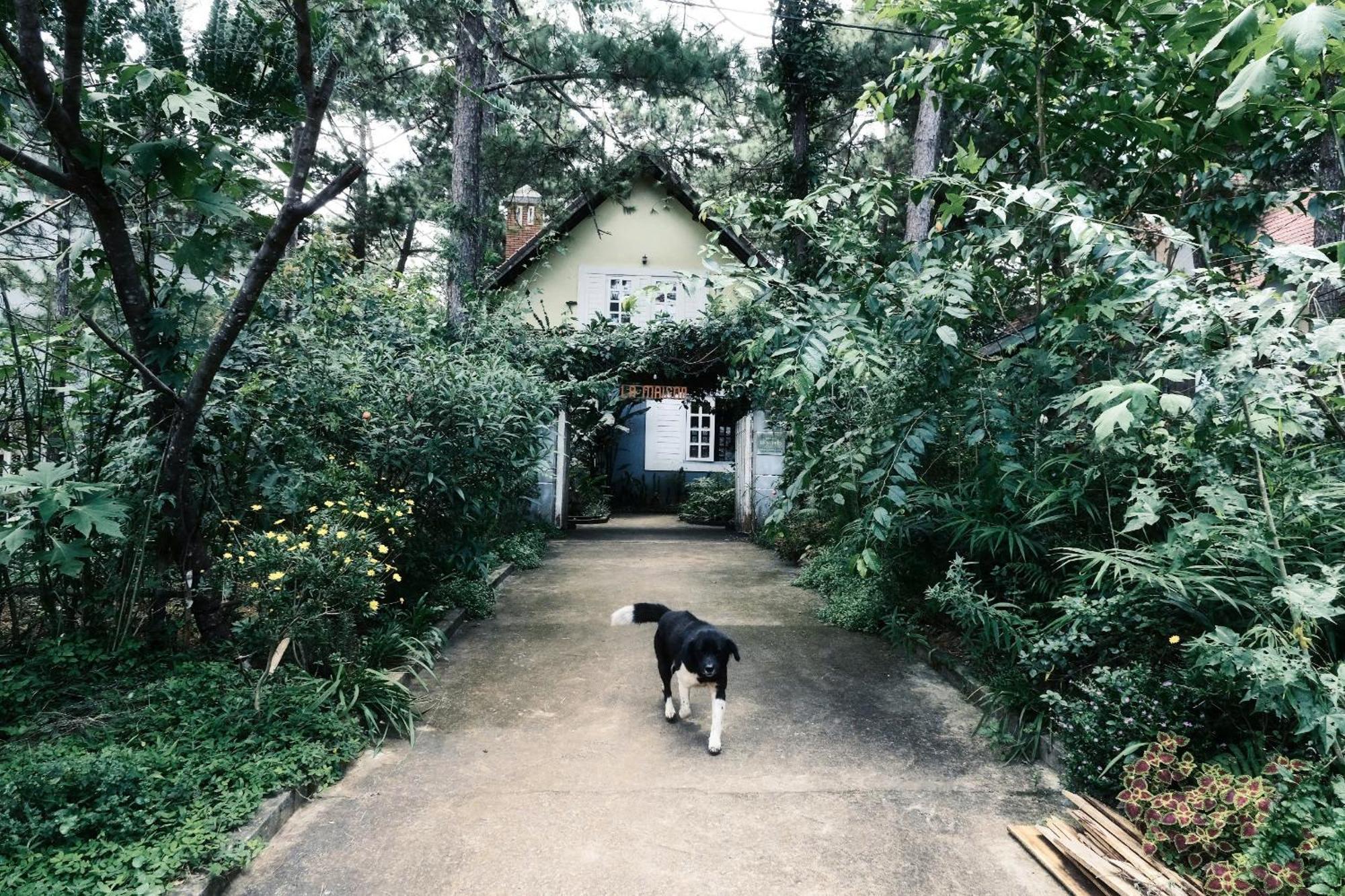 La Maison Homestay Mang Den Kon Tum Dış mekan fotoğraf